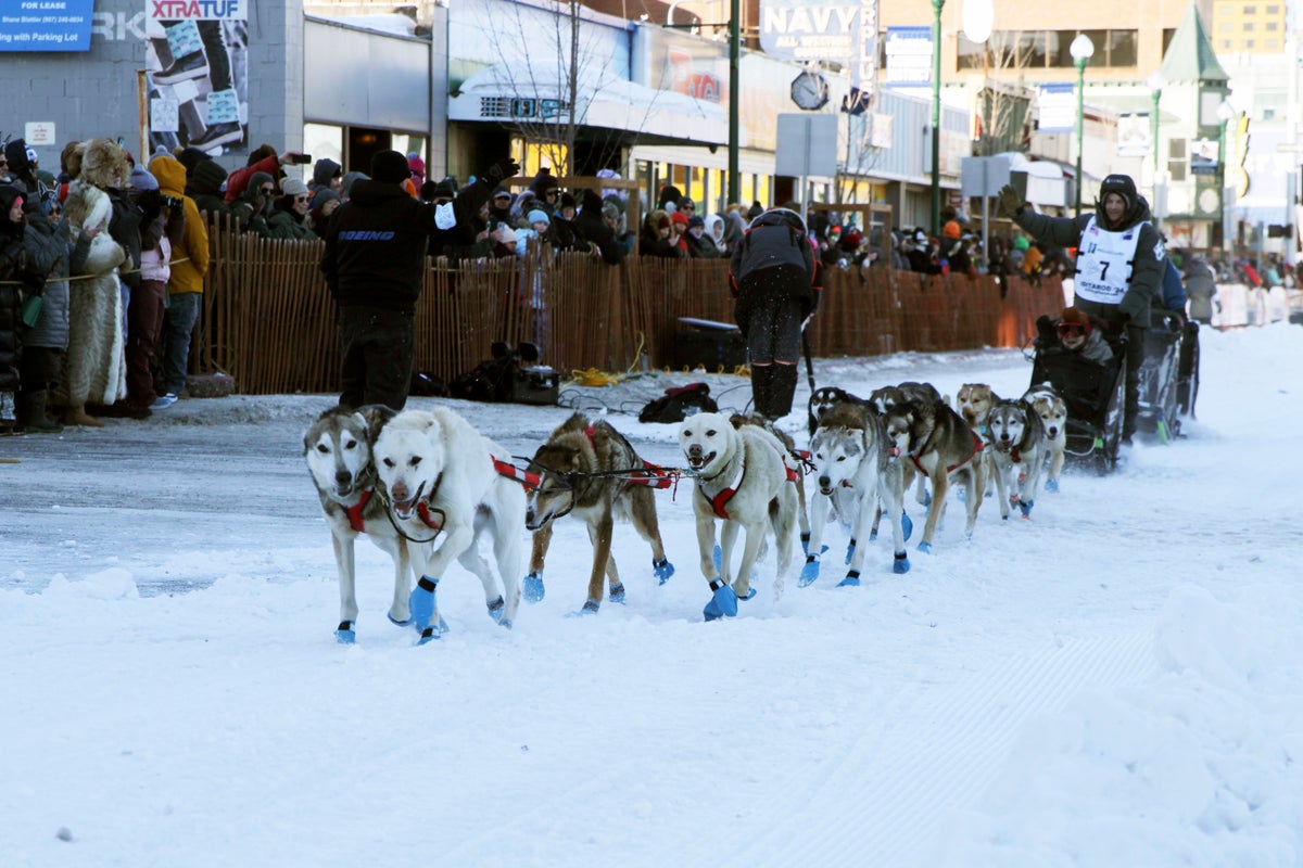 A lack of snow is irrevocably changing an historic Alaskan sled-dog tradition