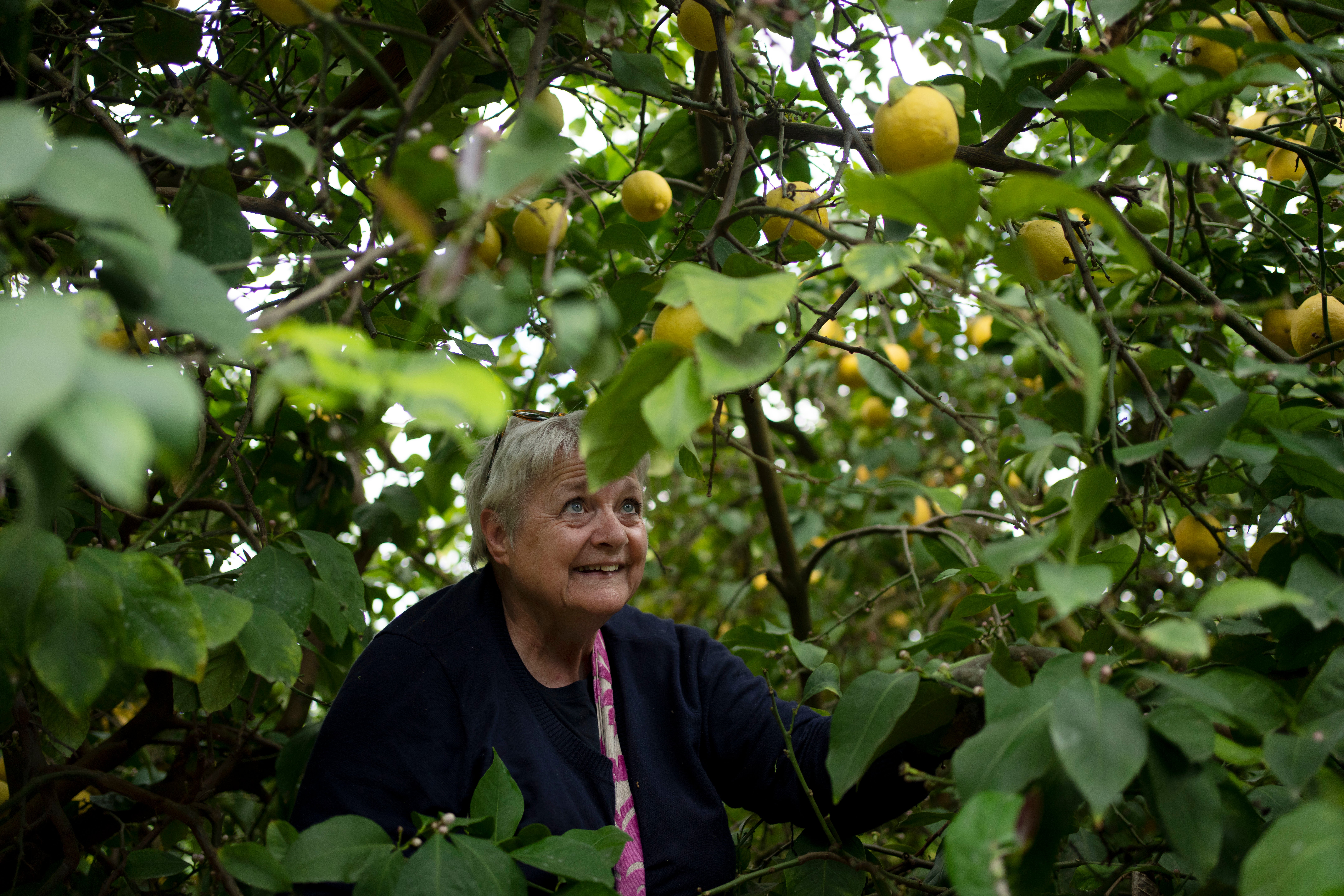 Israel Palestinians Evangelicals