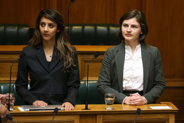 <p>File: Green MPs Golriz Ghahraman and Chloe Swarbrick look on at Parliament on 8 November 2017 in Wellington, New Zealand</p>