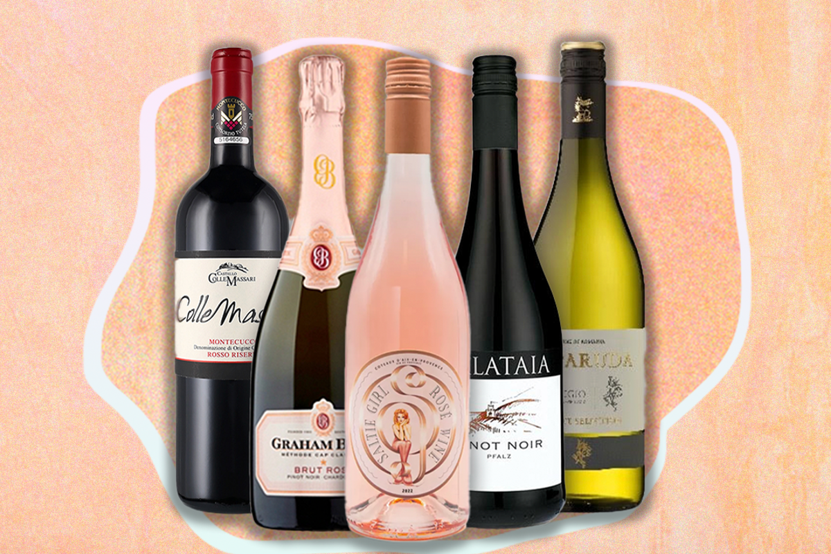 Best wines under £20: Red, white, pink and bubbly