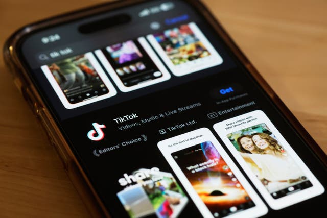<p>A bill that will now advance to the Senate could result in TikTok being removed from US app stores</p>