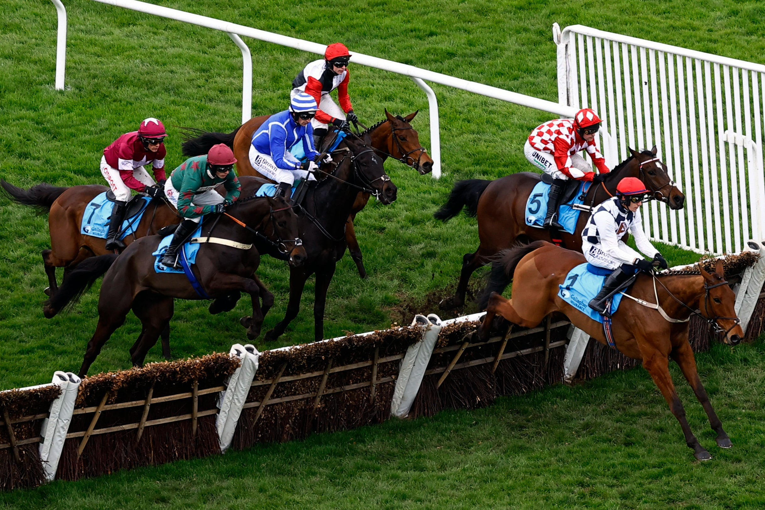 Local trainers' close watch on the Cheltenham Festival going as rain takes  its toll - Horsebox