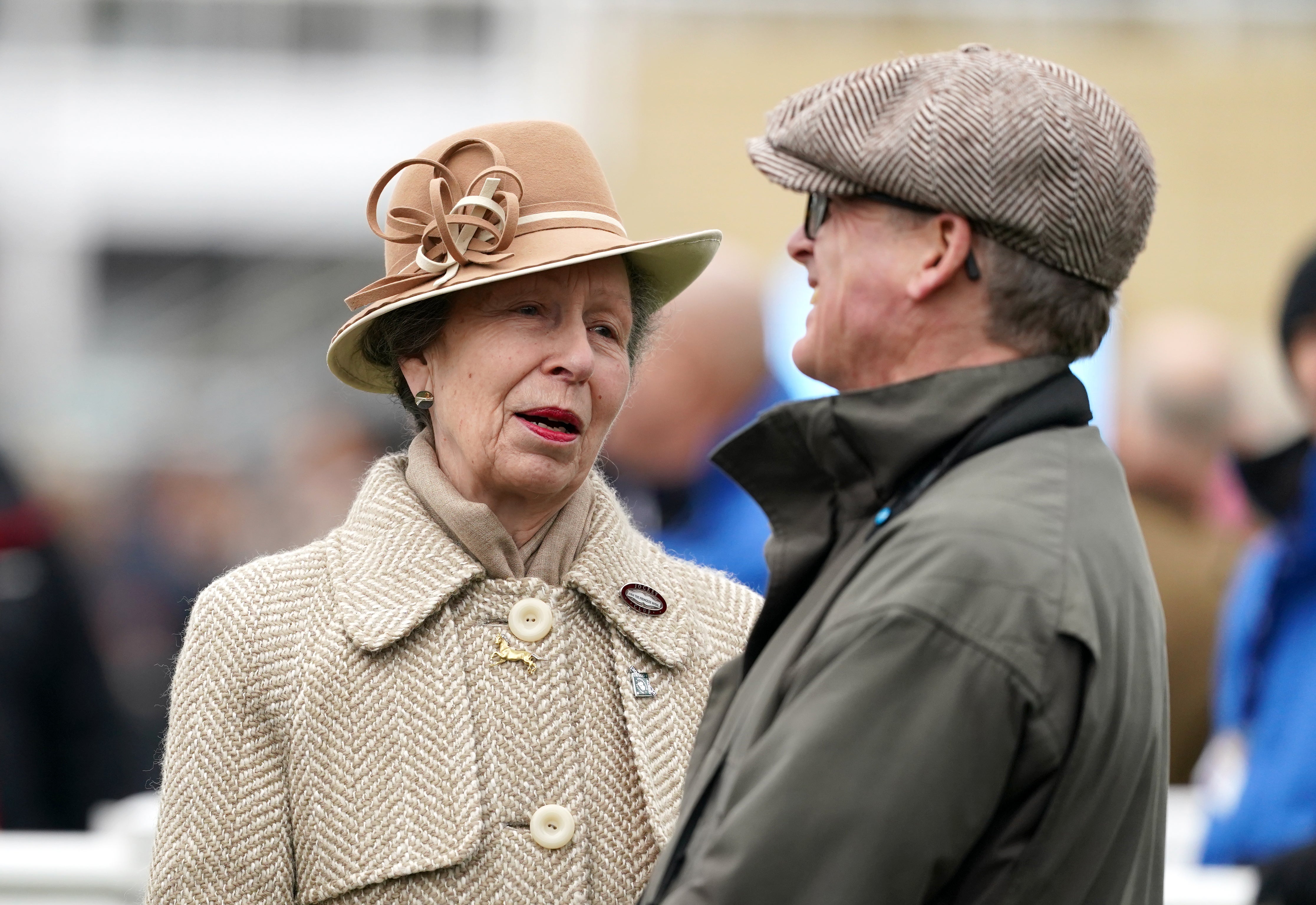 The Princess Royal on day two of the 2024 Cheltenham Festival at Cheltenham Racecourse
