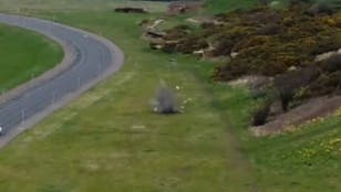 Suspected WW2 bomb explodes after being found in Merseyside Park