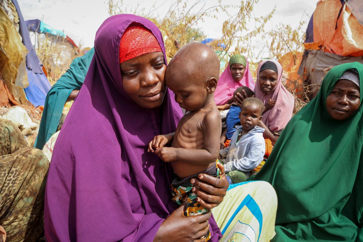UN report: Many countries are bouncing back from COVID pandemic but the poorest are not