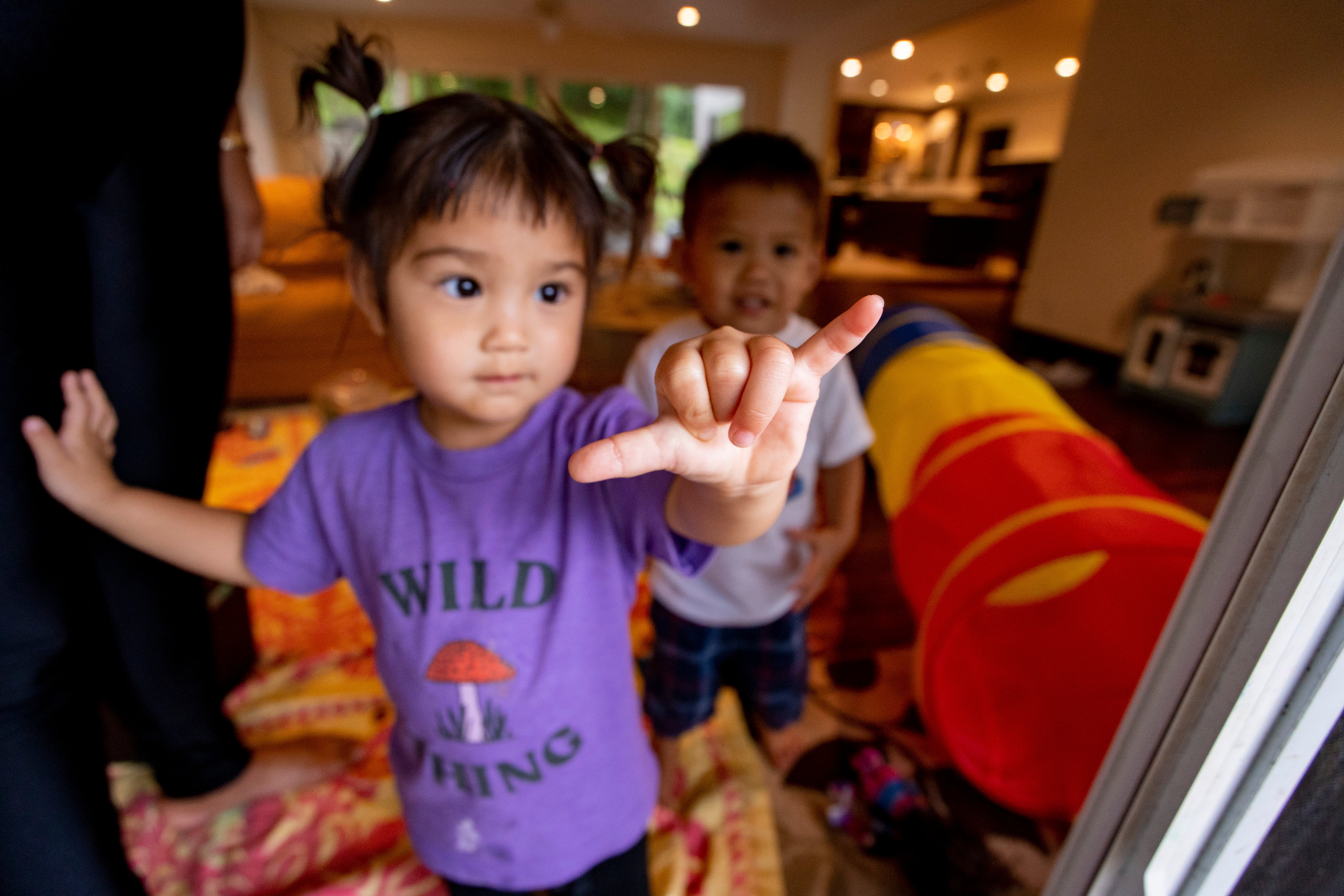 Hawaii Hand Gesture Shaka