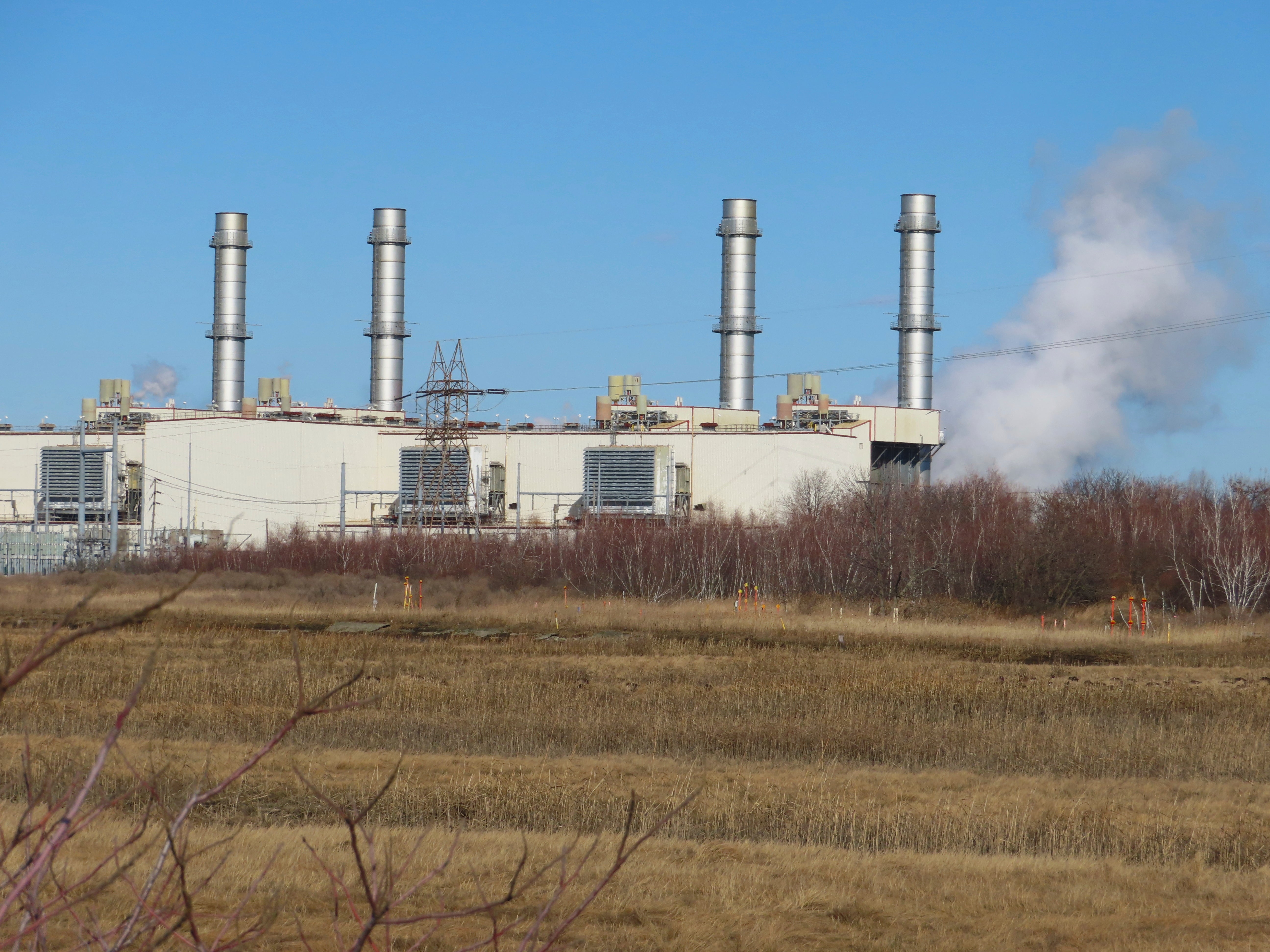 Right To Clean Environment