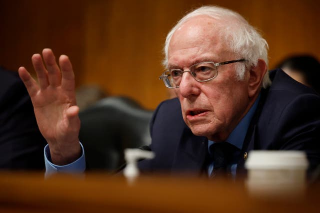 <p>Bernie Sanders has previously criticised Israel’s attacks on Gaza </p>