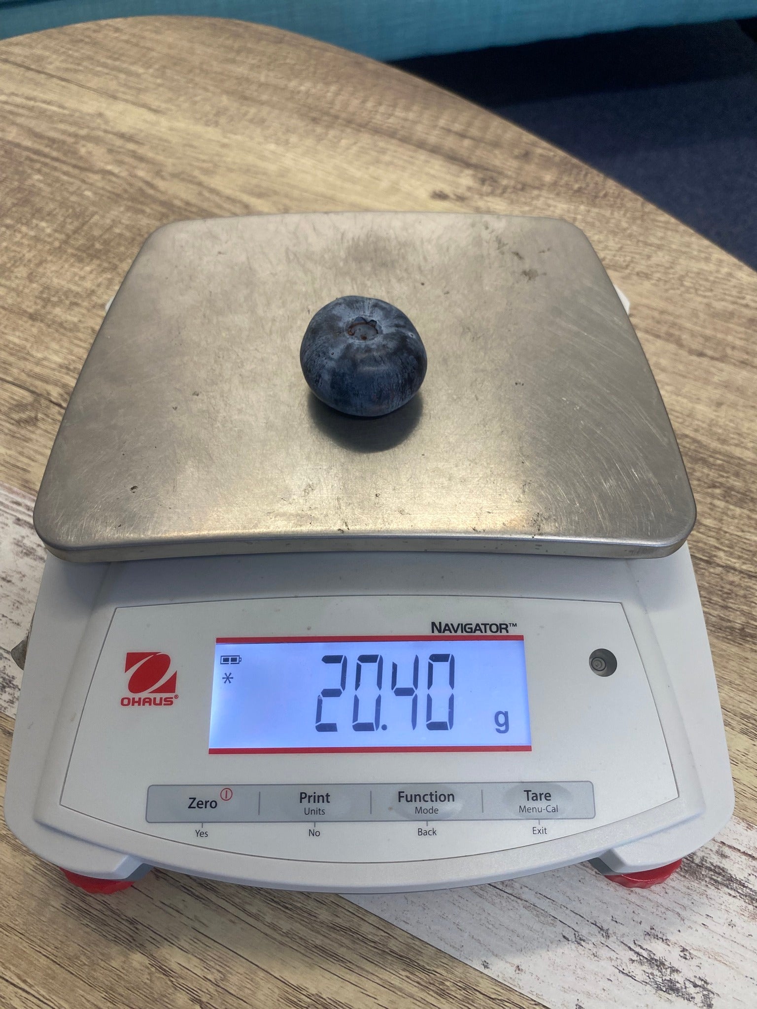 The blueberry, weighing 20.4 grams and is 39.31mm wide
