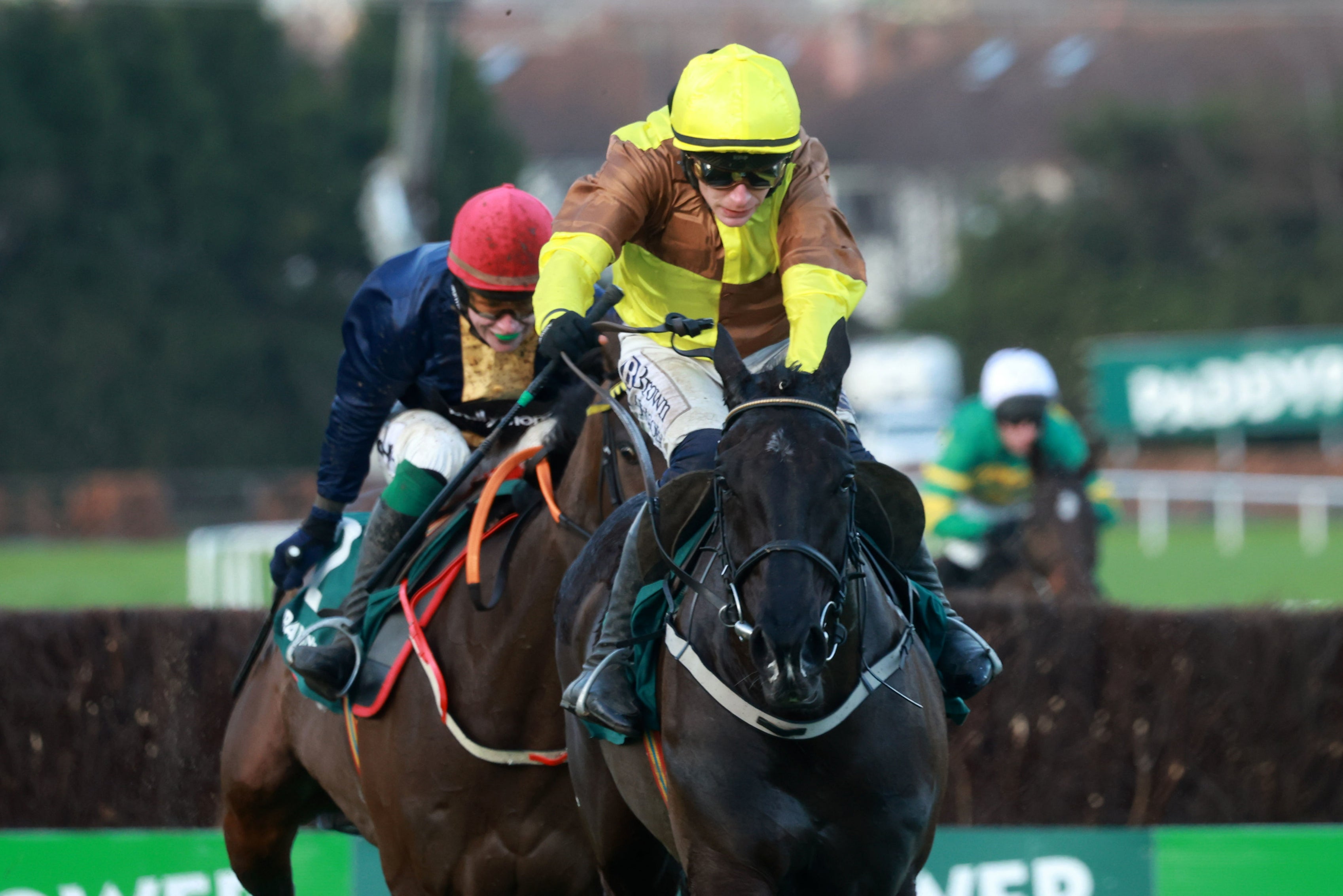 <p>Galopin Des Champs is favourite to retain the Gold Cup today </p>