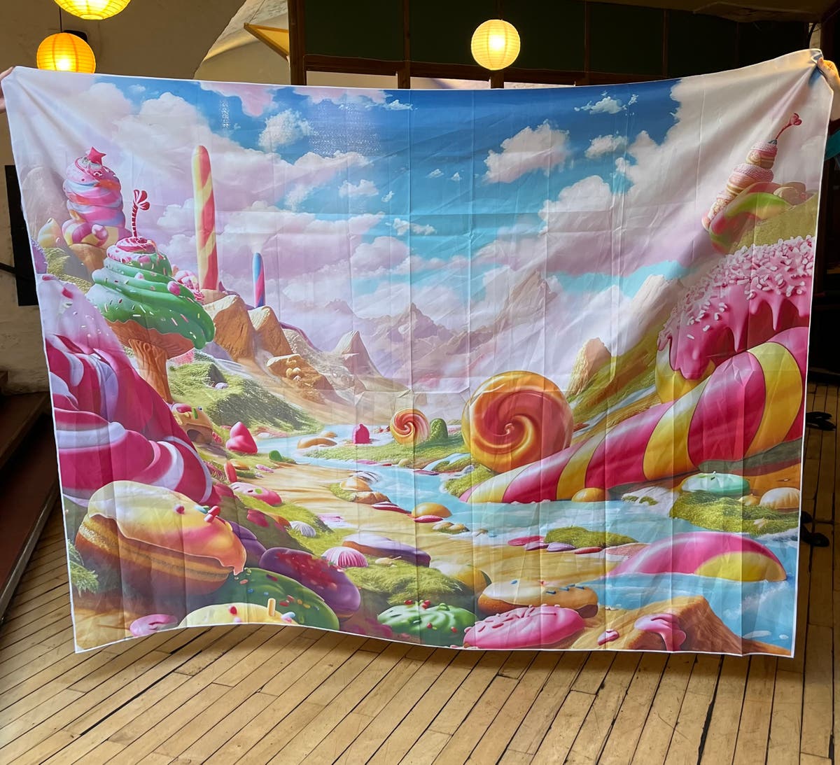 Props from Willy Wonka fiasco raise thousands in charity auction after being found dumped in a bin