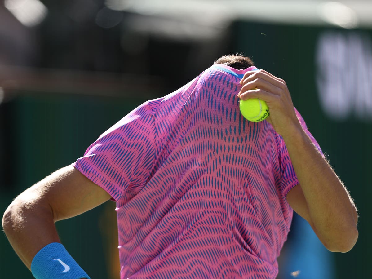 Carlos Alcaraz survives invasion of bees after being stung during Indian Wells victory