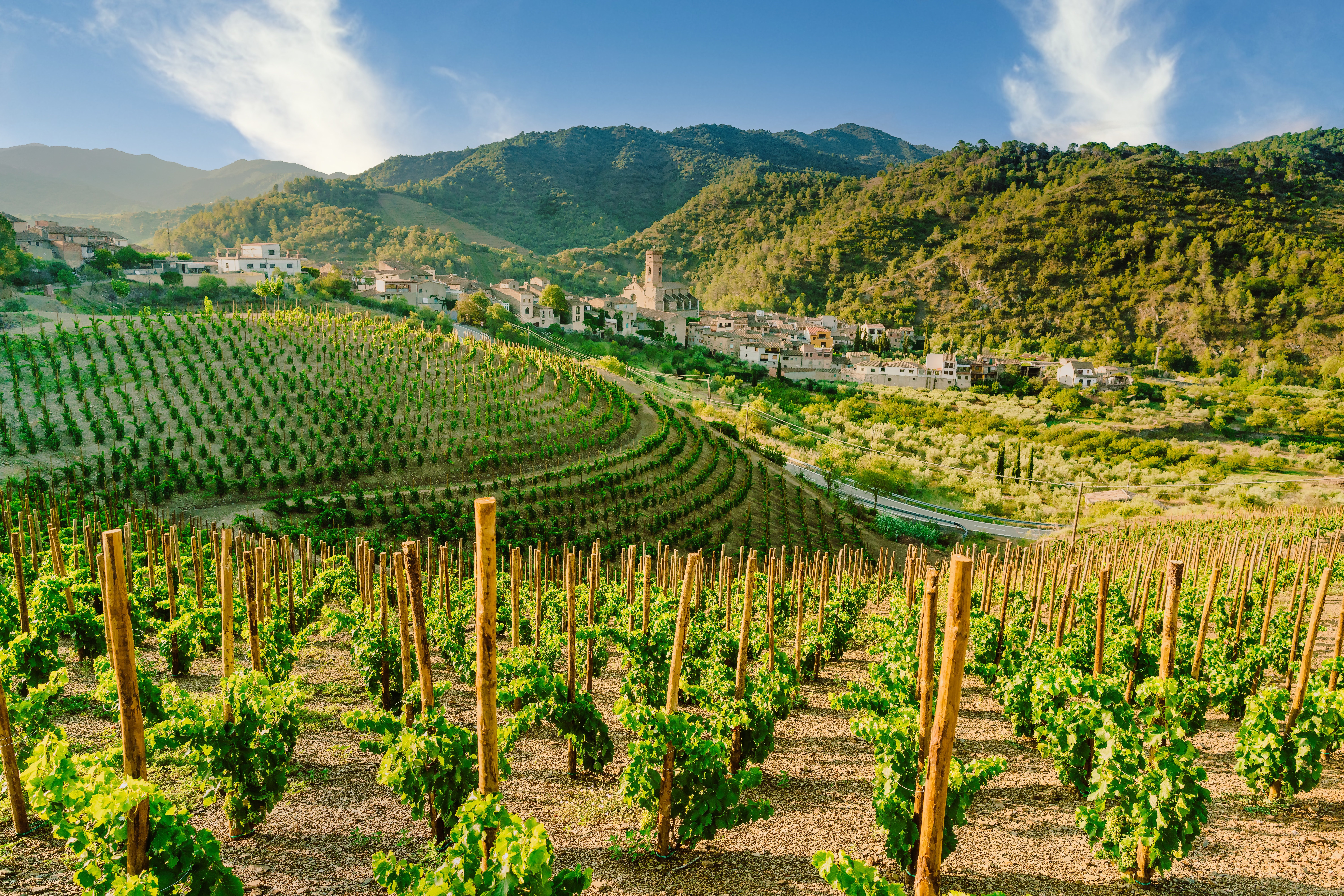 There are plenty of vineyard and winery tours around Costa Dorada, especially in the Priorat wine region