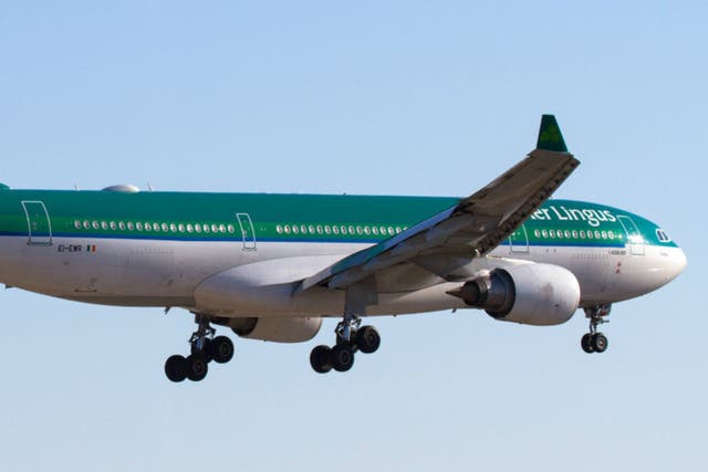<p>Aer Lingus has a busy transatlantic network from Dublin, which offers preclearance</p>