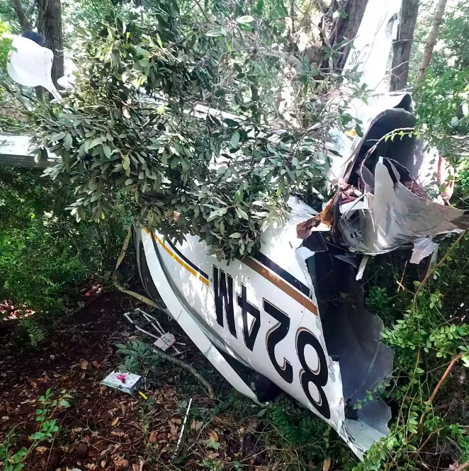 The plane was destroyed in the crash