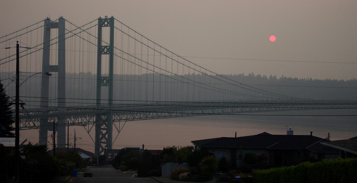 Child rape suspect thought to have thrown himself from bridge turns up as maintenance man