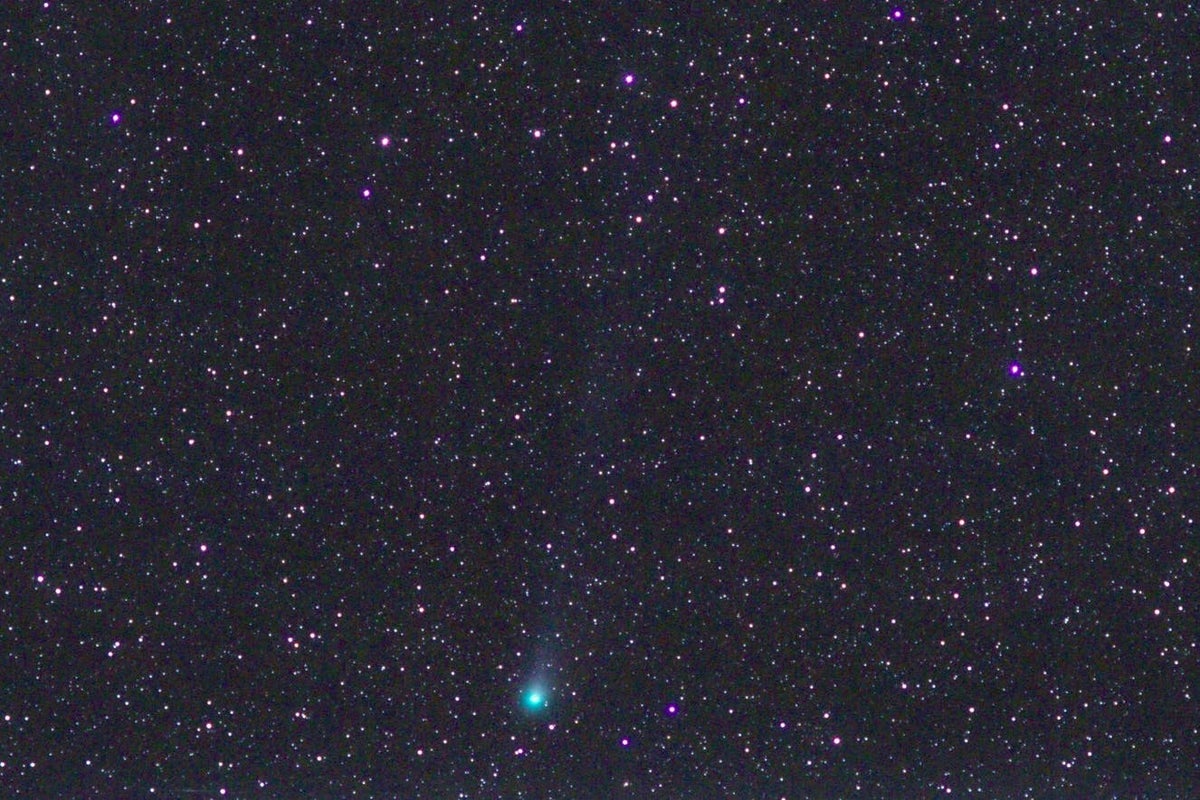 Comet passing by once every 71 years now visible in night sky