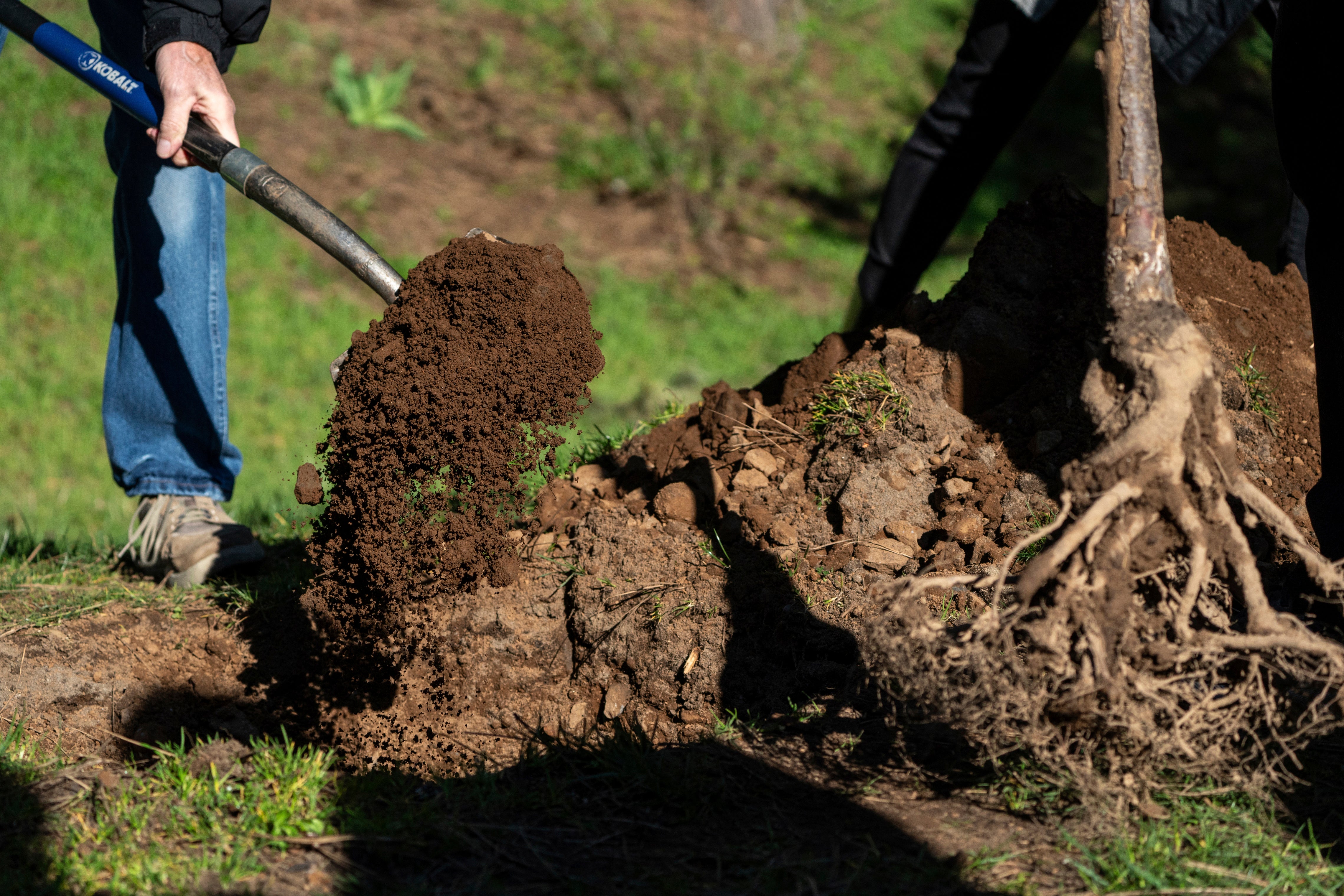 Oregon Heatwave Memorial