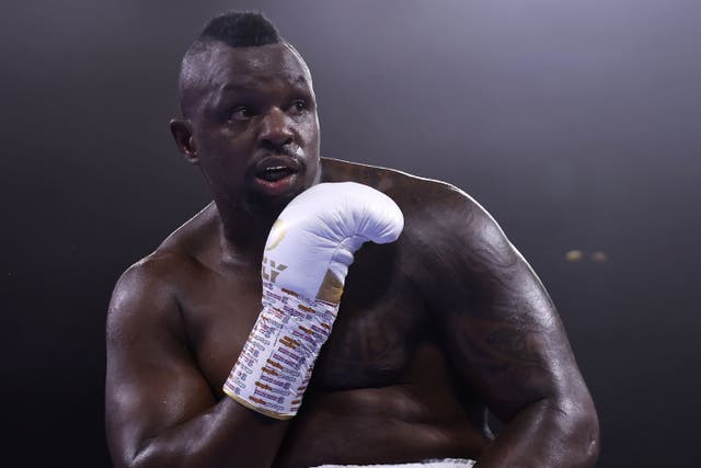 Dillian Whyte is back with a win (Steven Paston/PA)