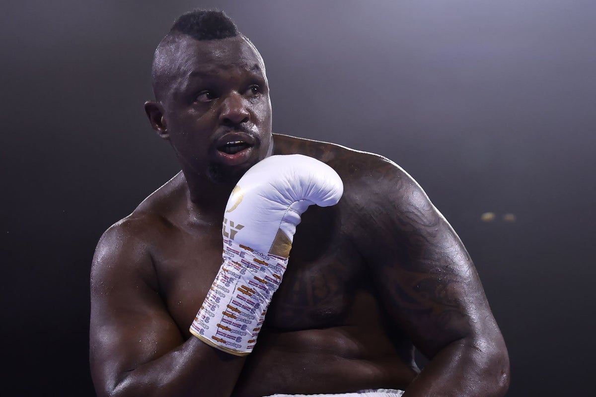 Dillian Whyte makes winning return with victory over Christian Hammer
