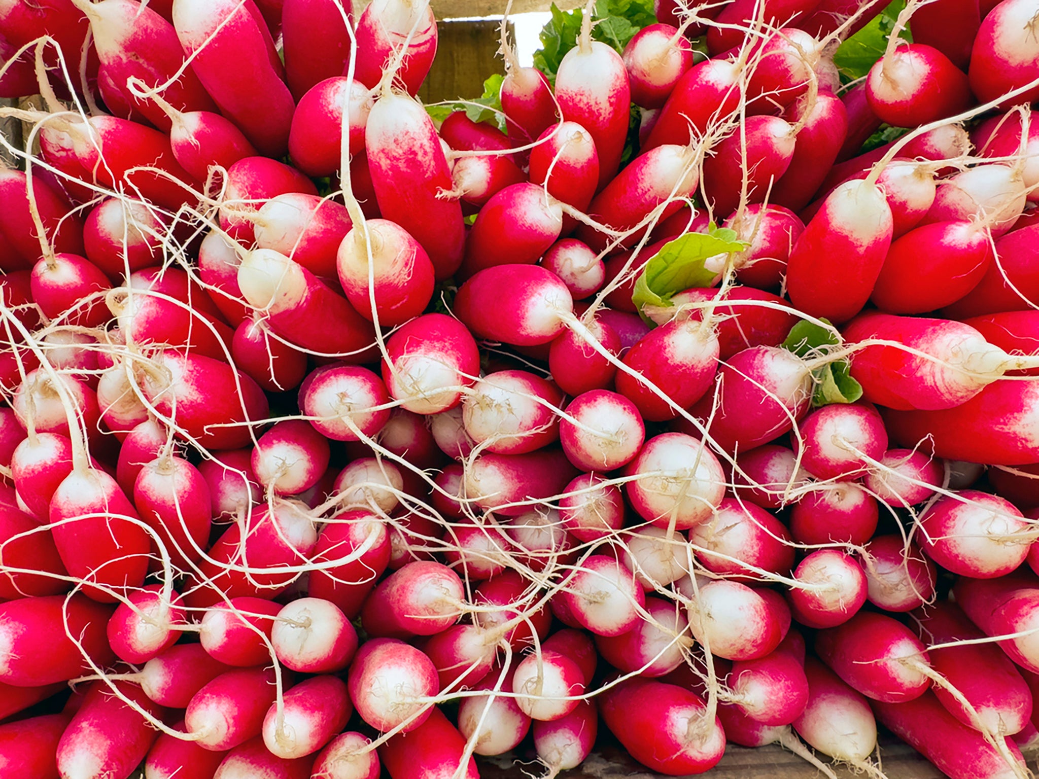 Radishes can add a crunchy, zesty bite to all sorts of dishes