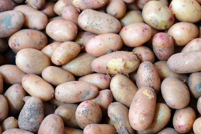 <p>Jersey Royals are known for their delicate, waxy skins </p>
