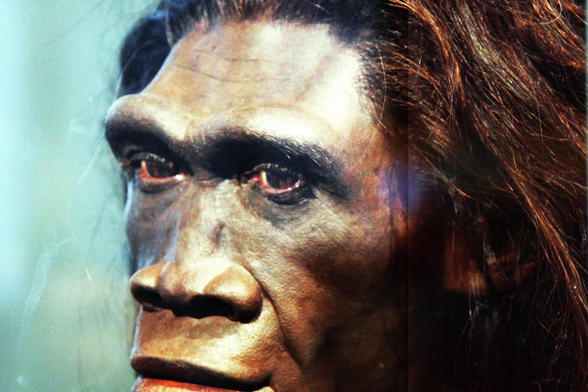 Proteins From 400,000-Year-Old Teeth in China Yield First Data on Homo Erectus