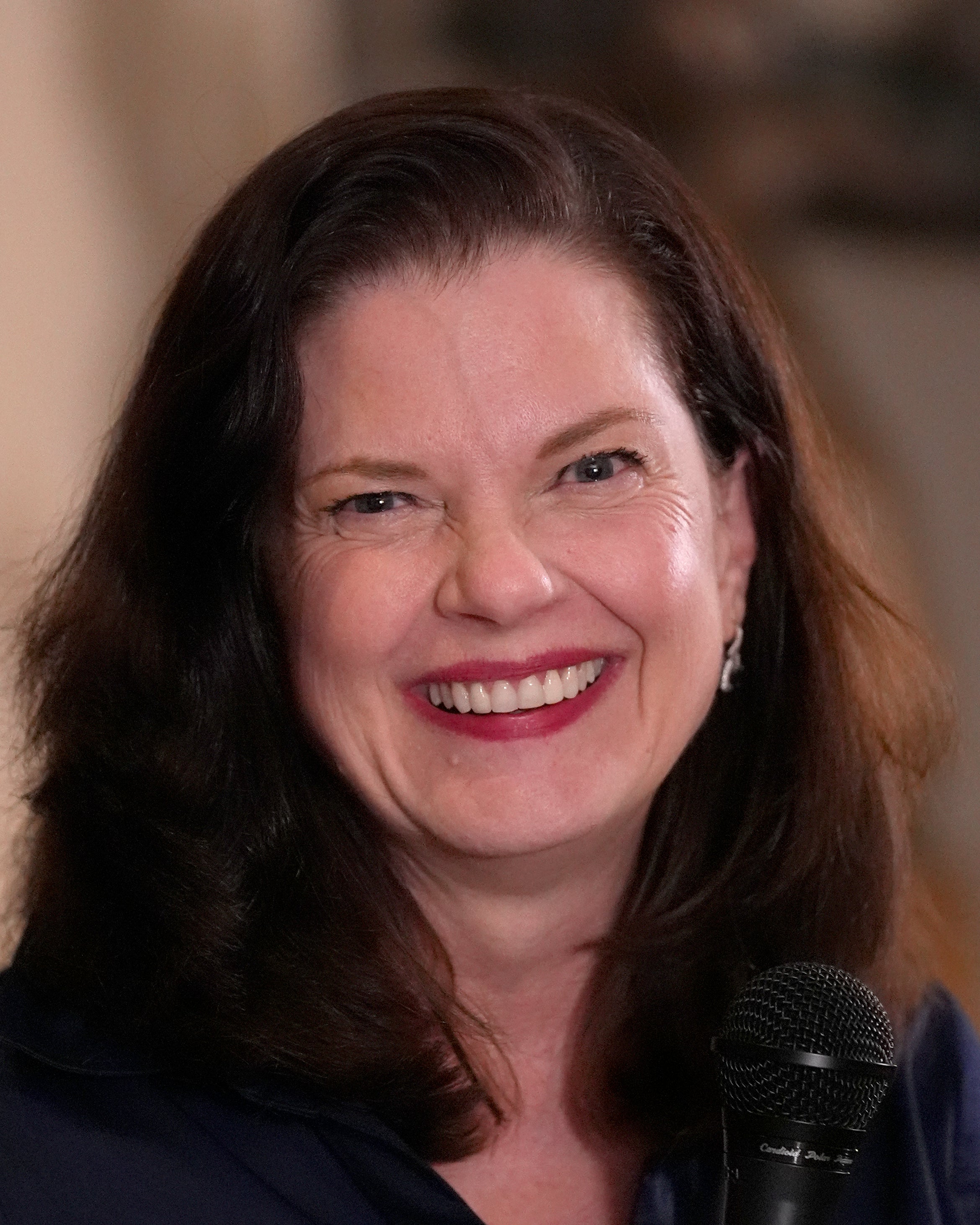 Election 2024 Chicago Prosecutor