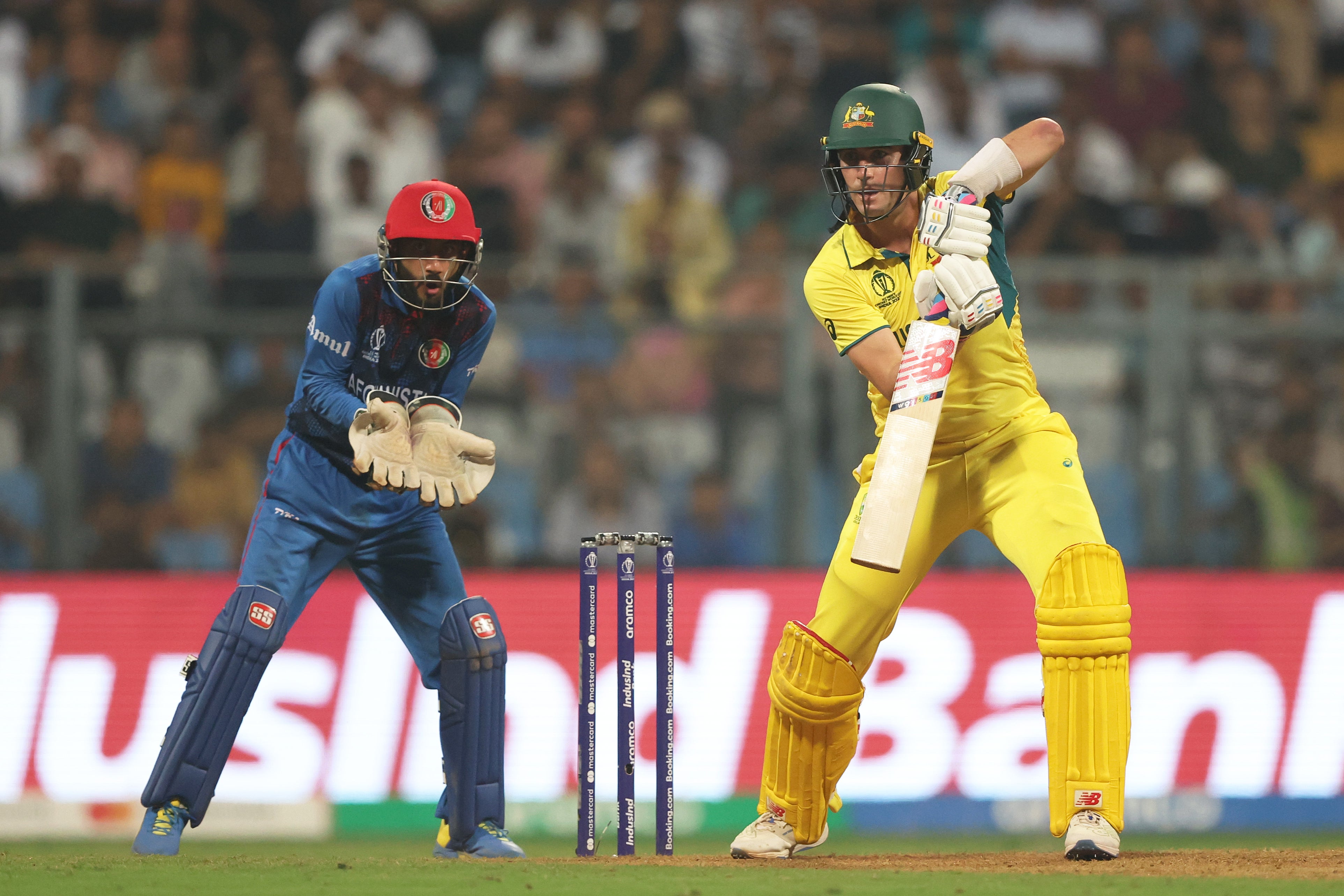 Australia were due to take on Afghanistan later this year