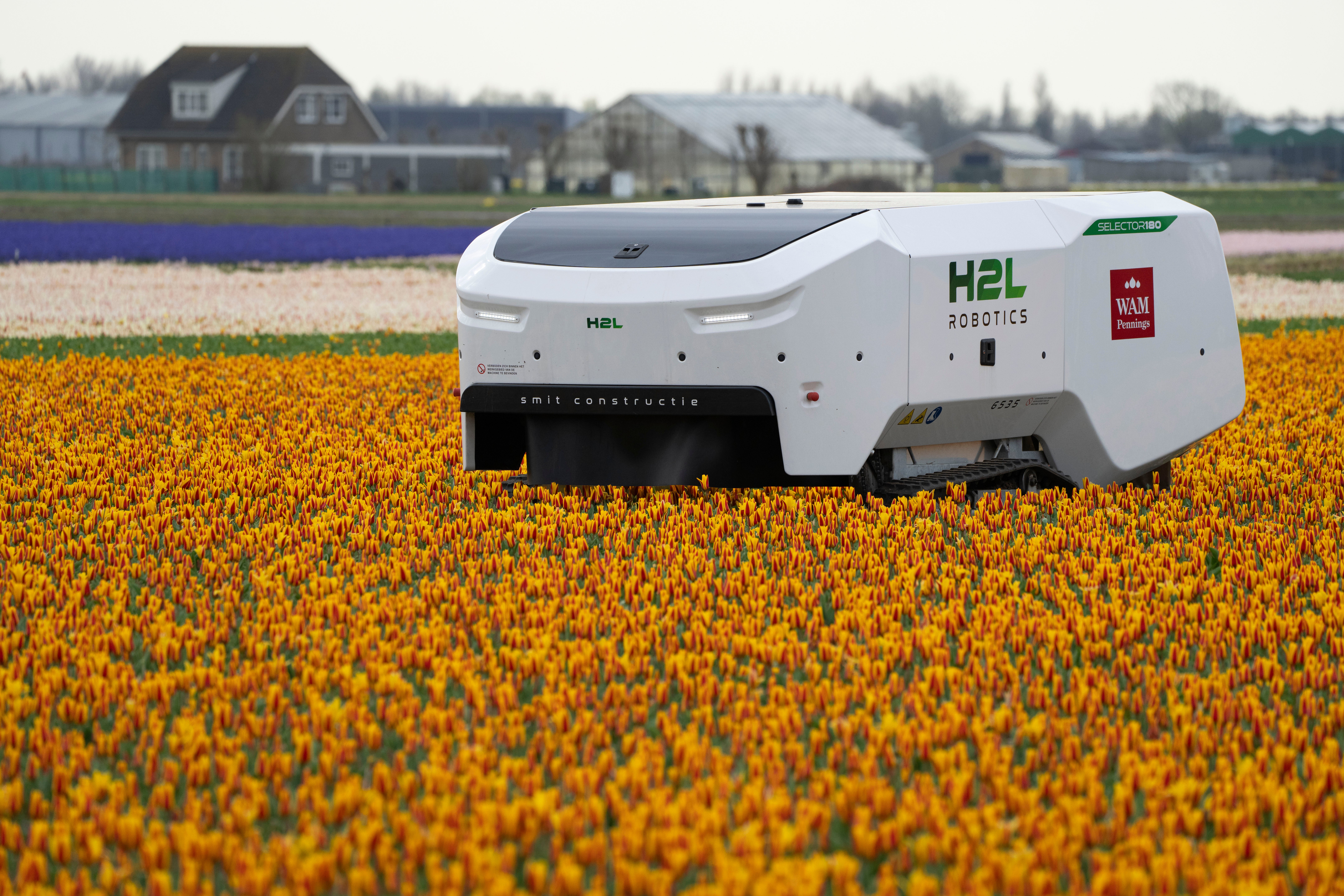 Netherlands Tulip Robot