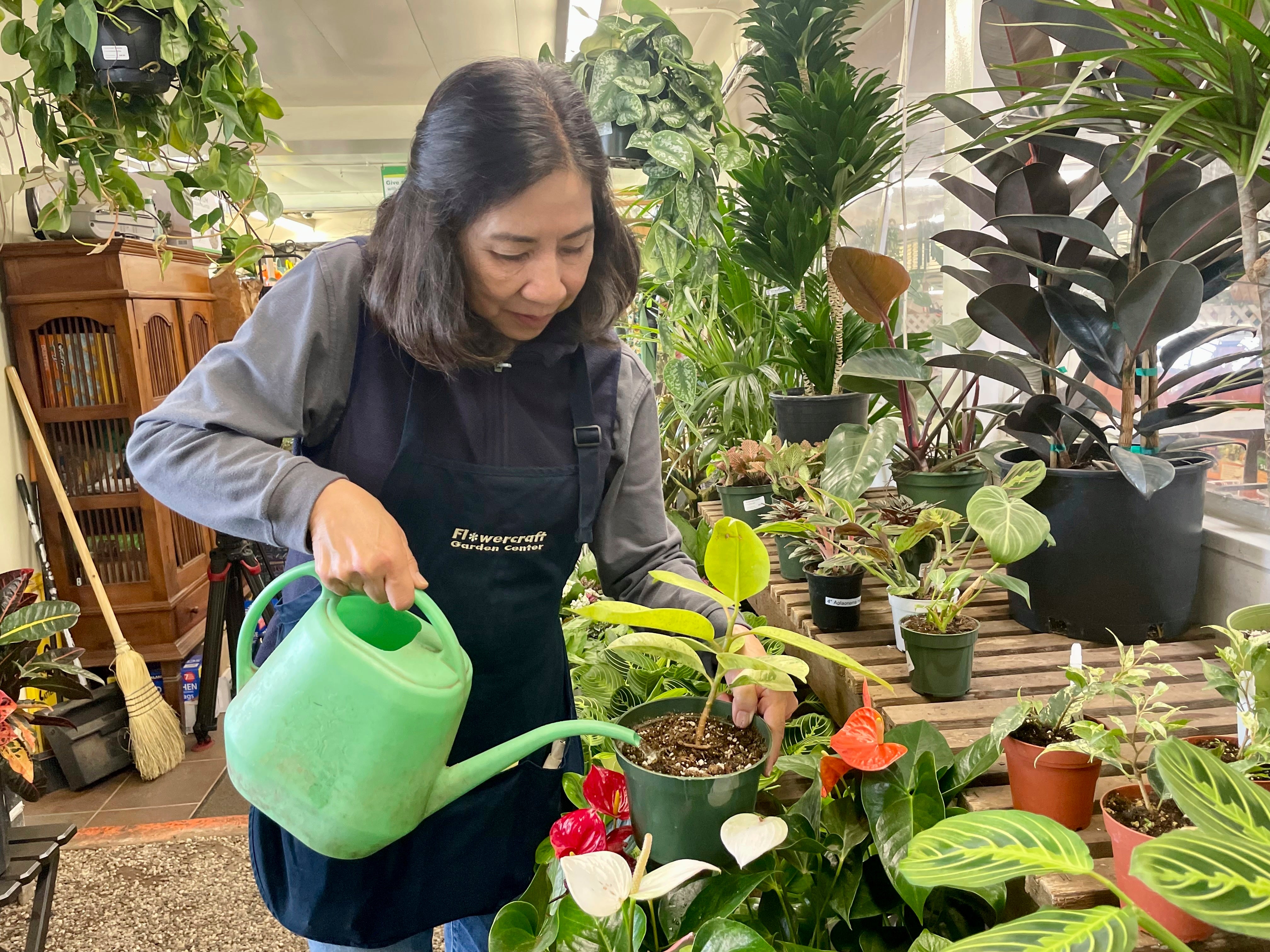 Small Business Garden Centers