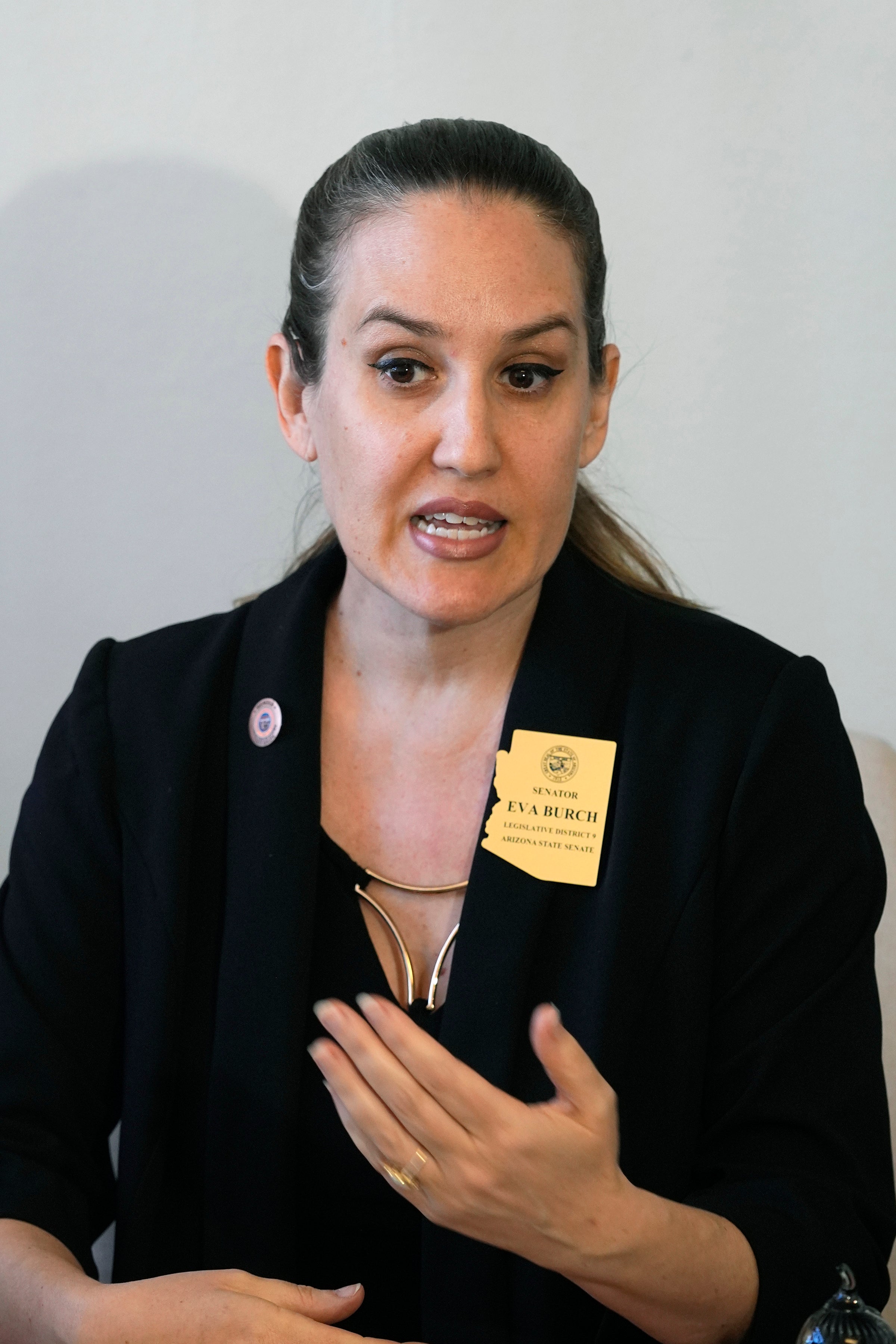 Arizona State Senator Abortion