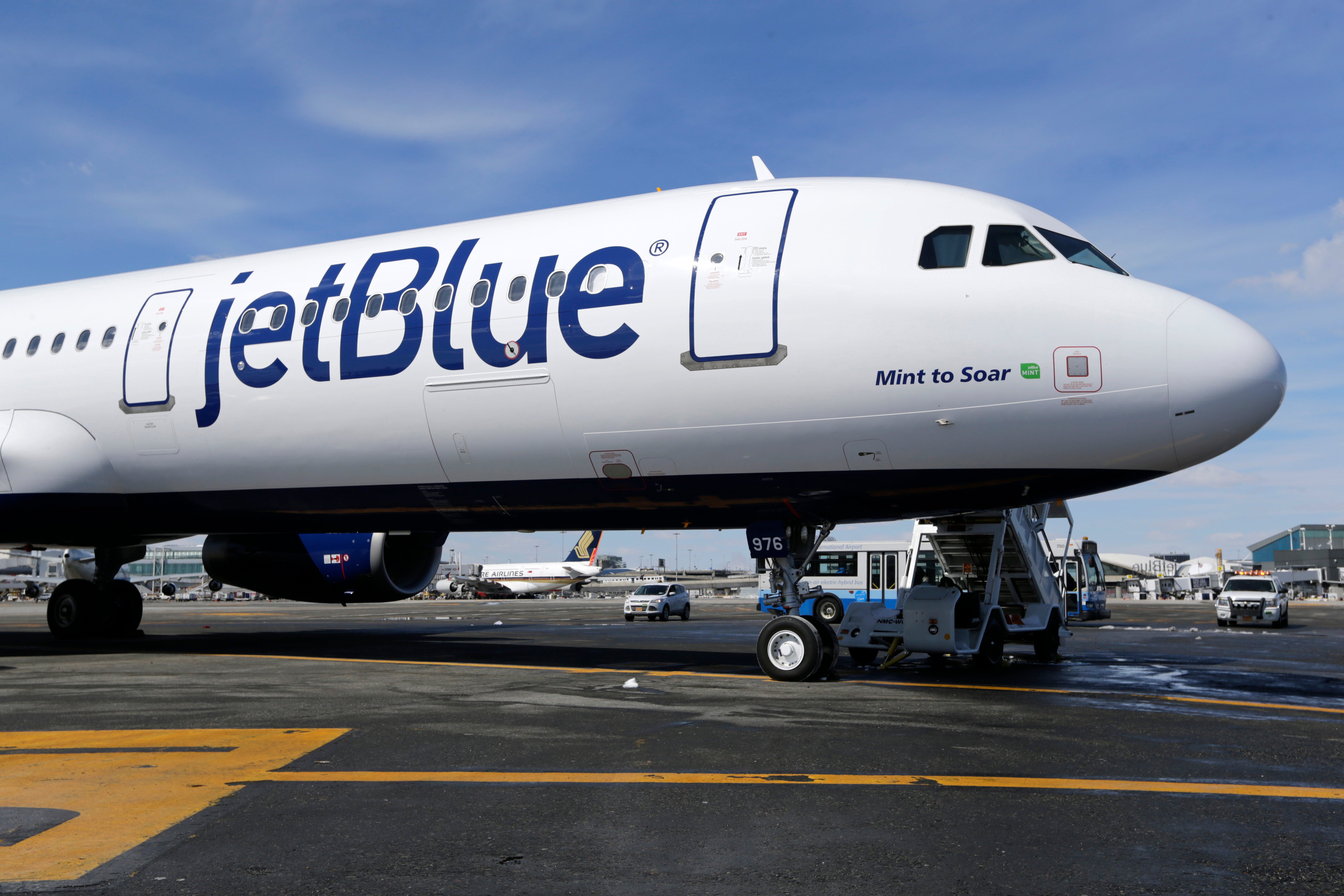 JetBlue passenger claims their cancer returned after spat with flight attendant over emotional support bulldog The Independent