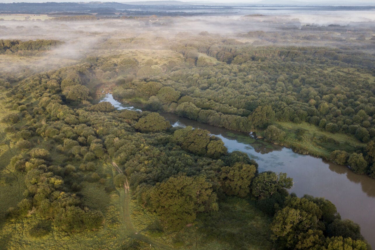 A drone image of the rewilded landscape at Knepp, West Sussex (Knepp Wildland/PA)
