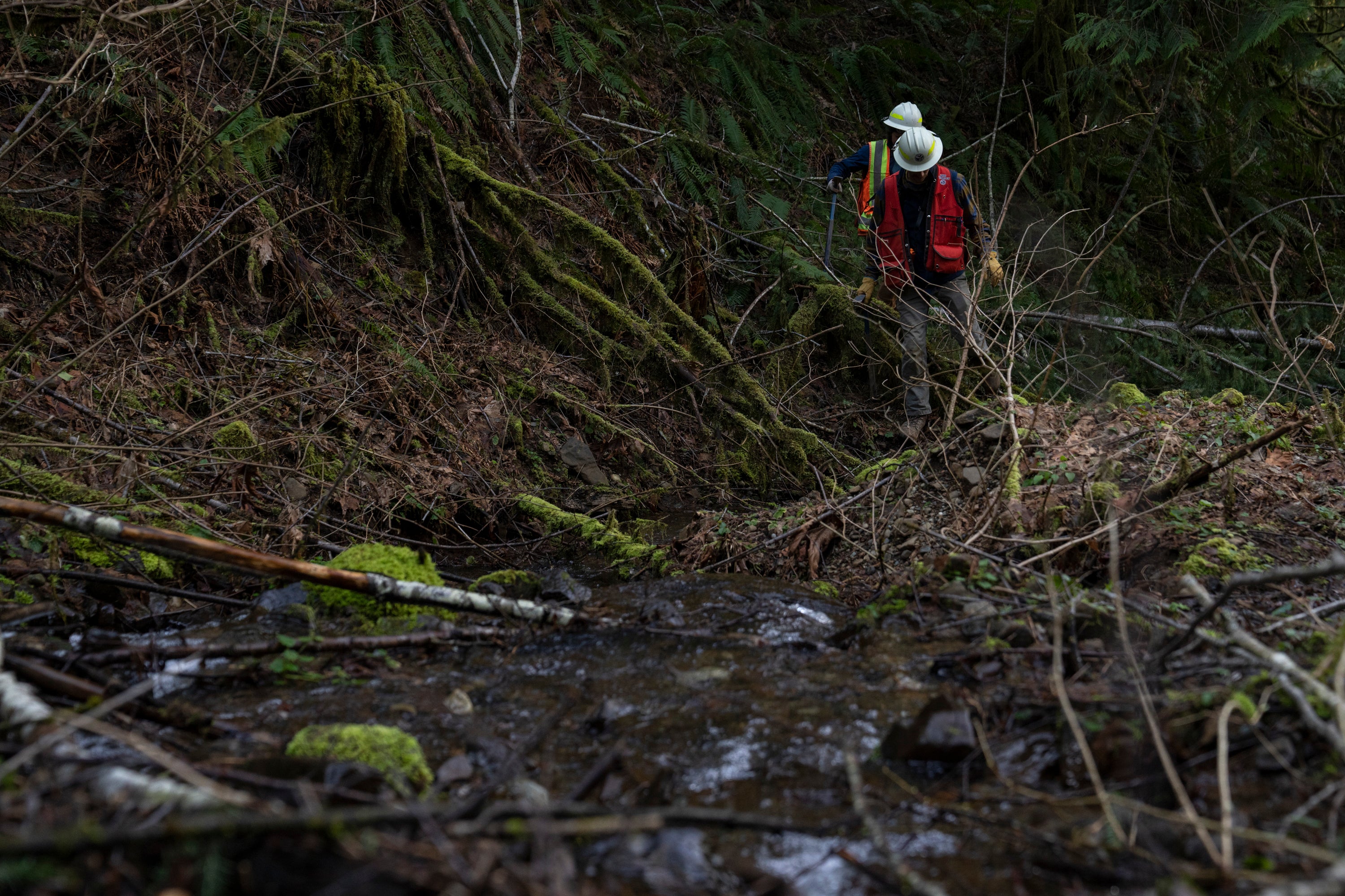 Landslides Explainer