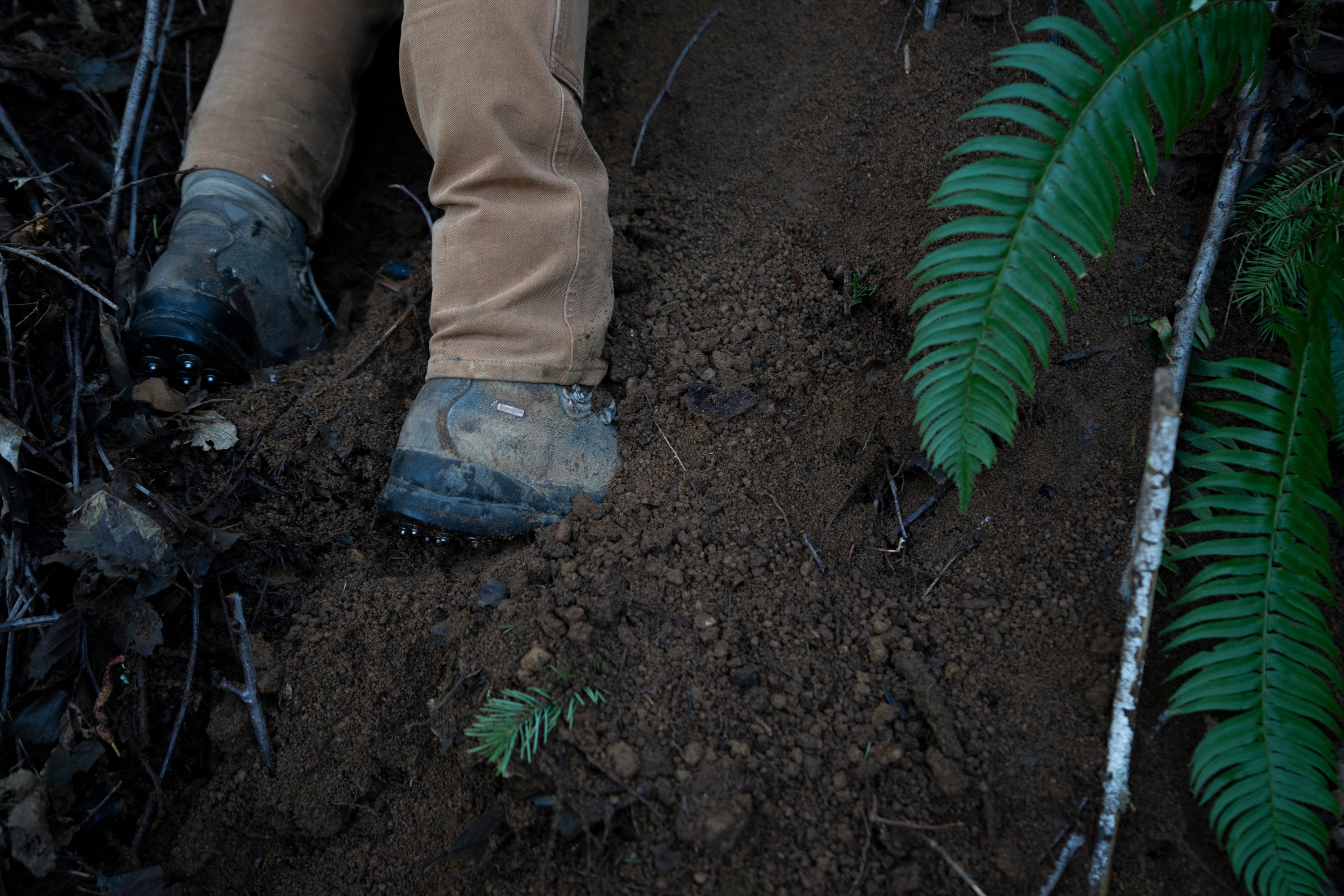 Landslides Explainer