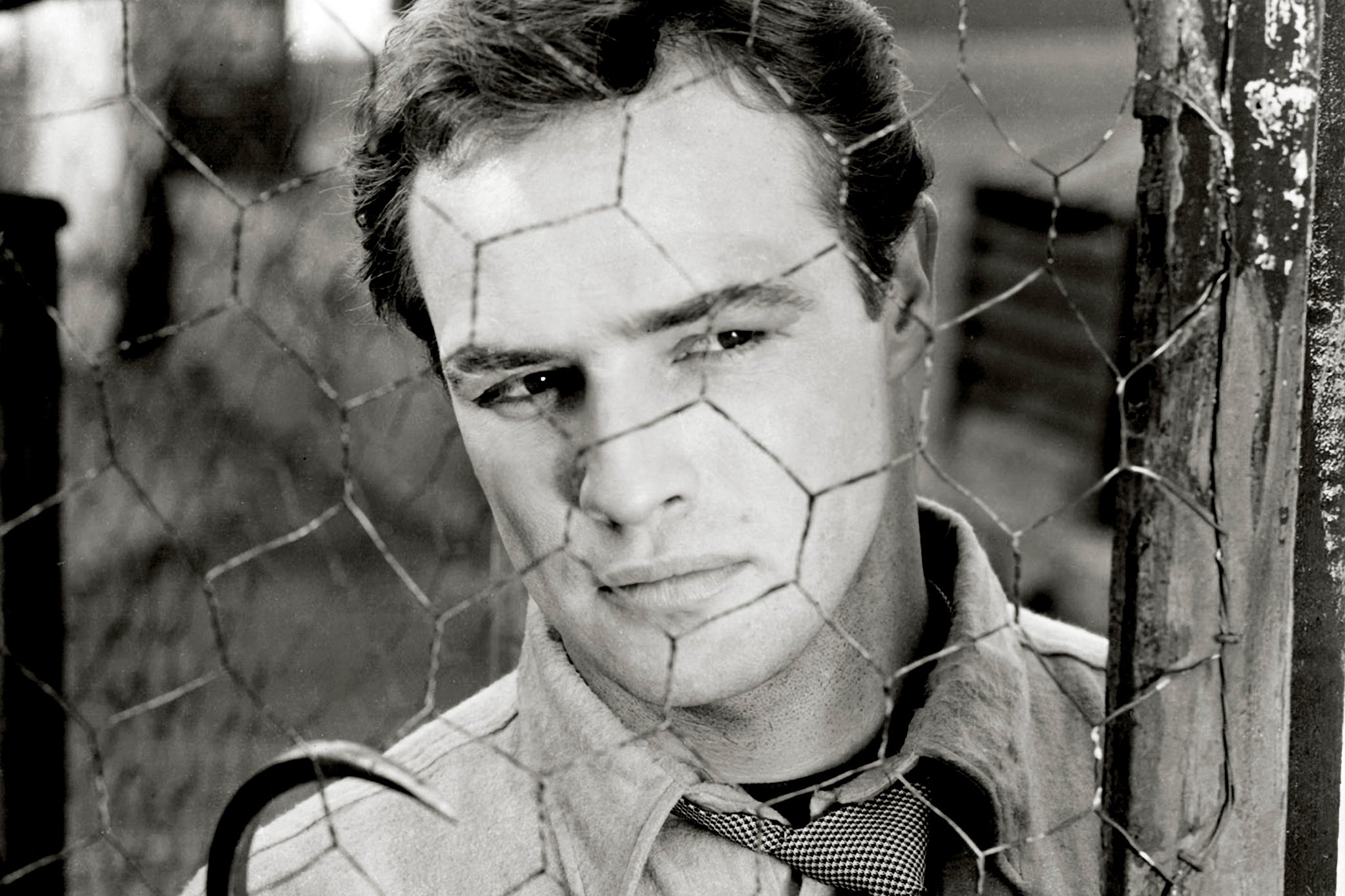 Do the right thing: Marlon Brando in his Oscar-winning role in Elia Kazan’s ‘On the Waterfront’