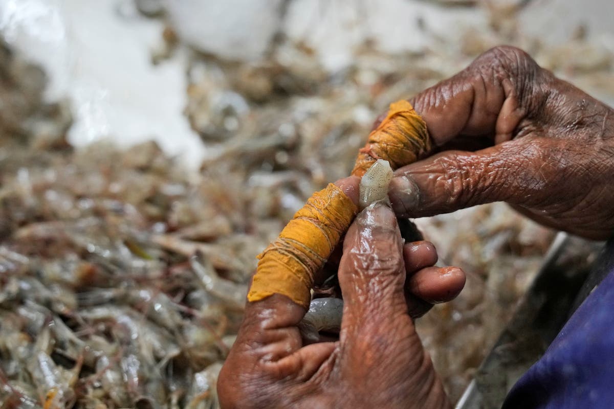 AP documents grueling conditions in Indian shrimp industry that report calls “dangerous and abusive”