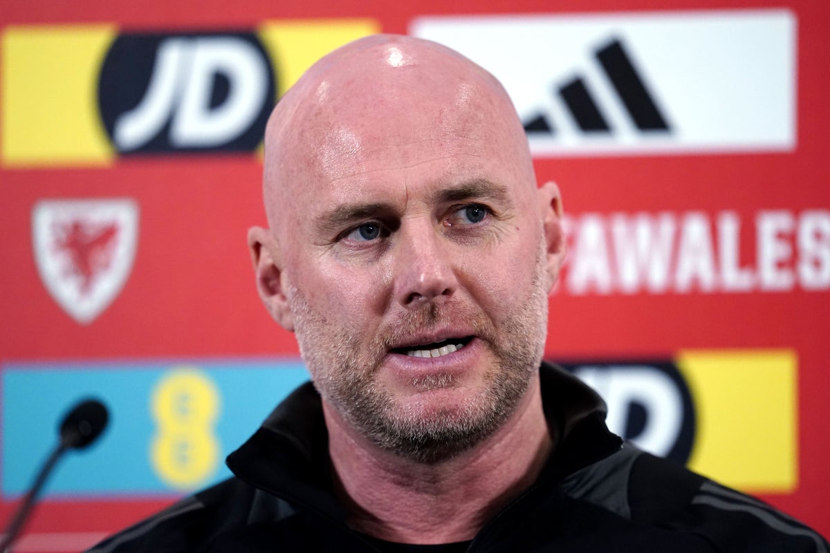 Wales must at their best to beat Finland in Euros play-off, says boss Rob Page