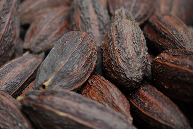 Cocoa pods on display during the Chocolate Show at Olympia’s National Hall, London as cocoa prices have soar in recent days (Nick Ansell/PA)