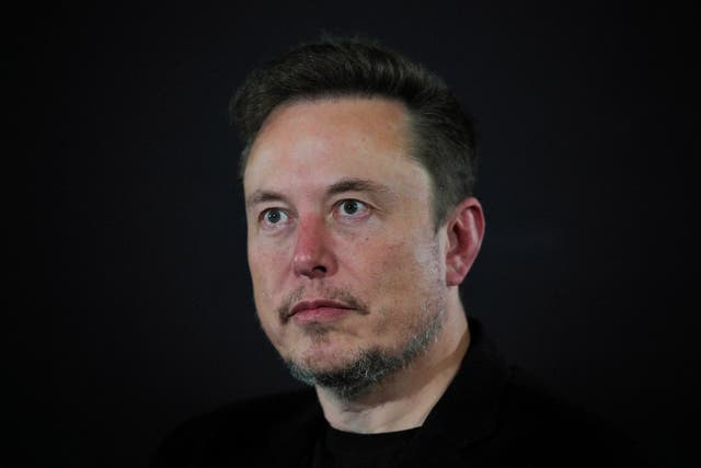 Elon Musk announced the successful Neuralink surgery in January (Kirsty Wigglesworth/PA)