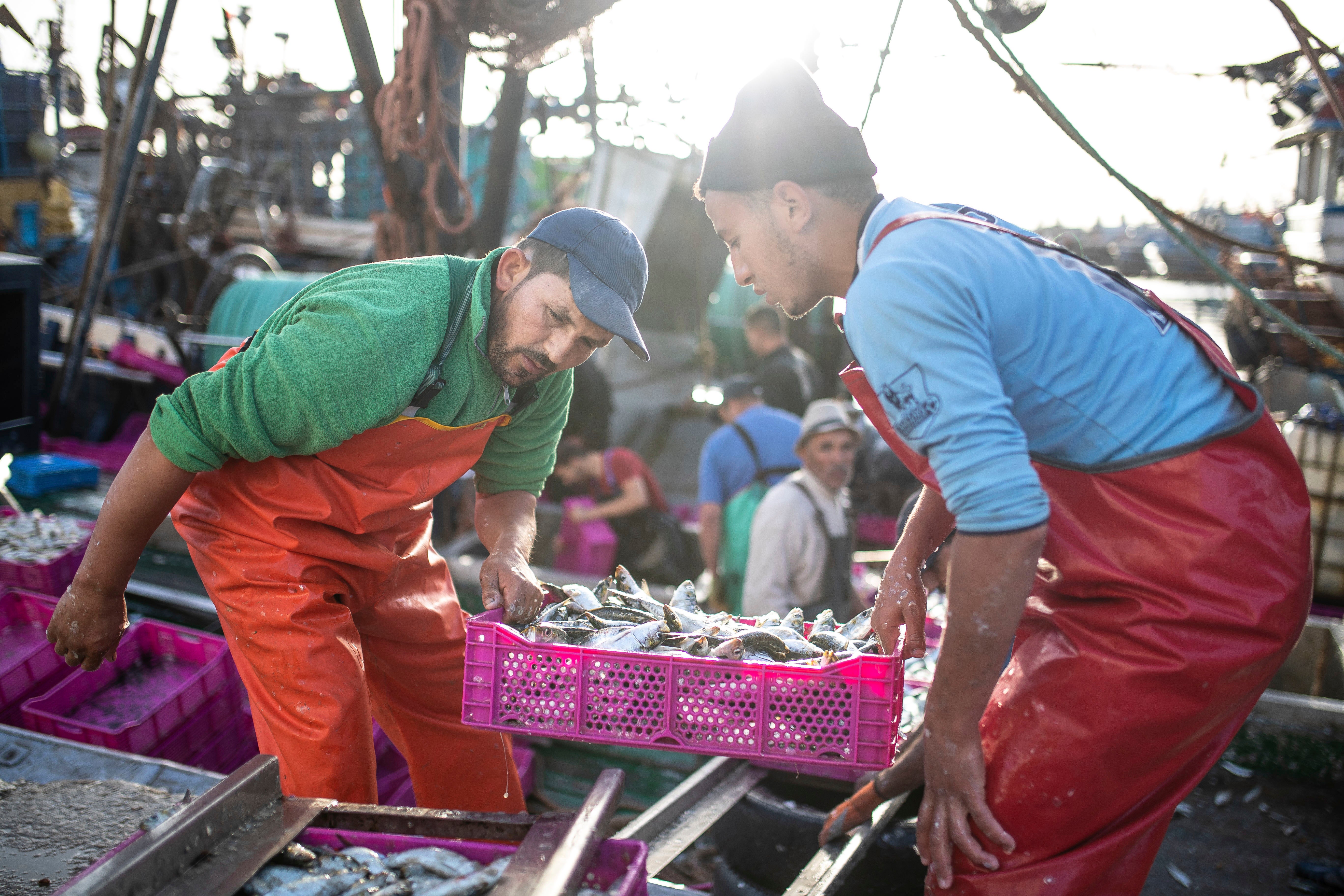 Europe Morocco Fisheries