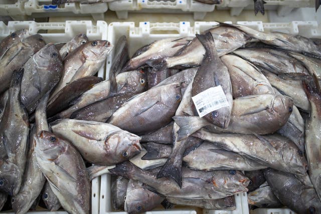 Europe Morocco Fisheries