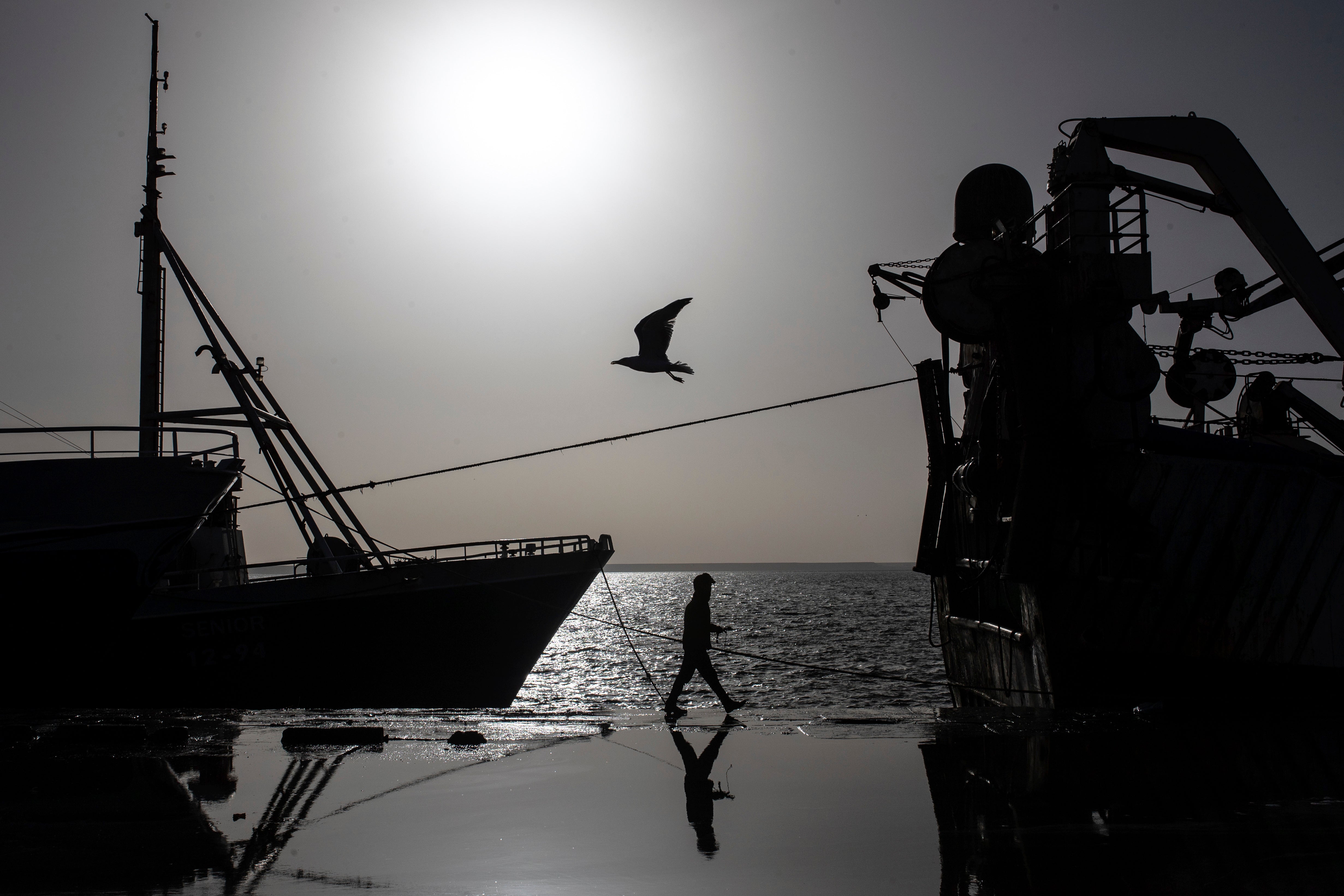 Europe Morocco Fisheries