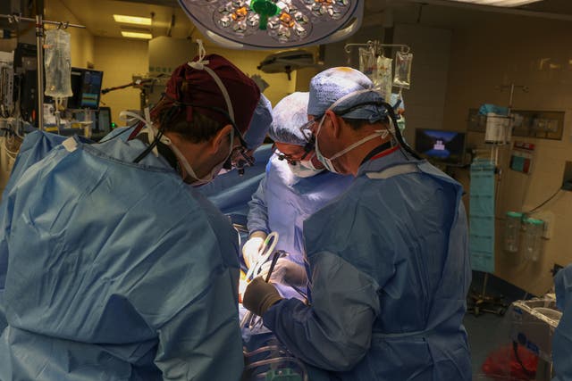 <p>Surgeons at the Massachusetts General Hospital performing the groundbreaking procedure </p>