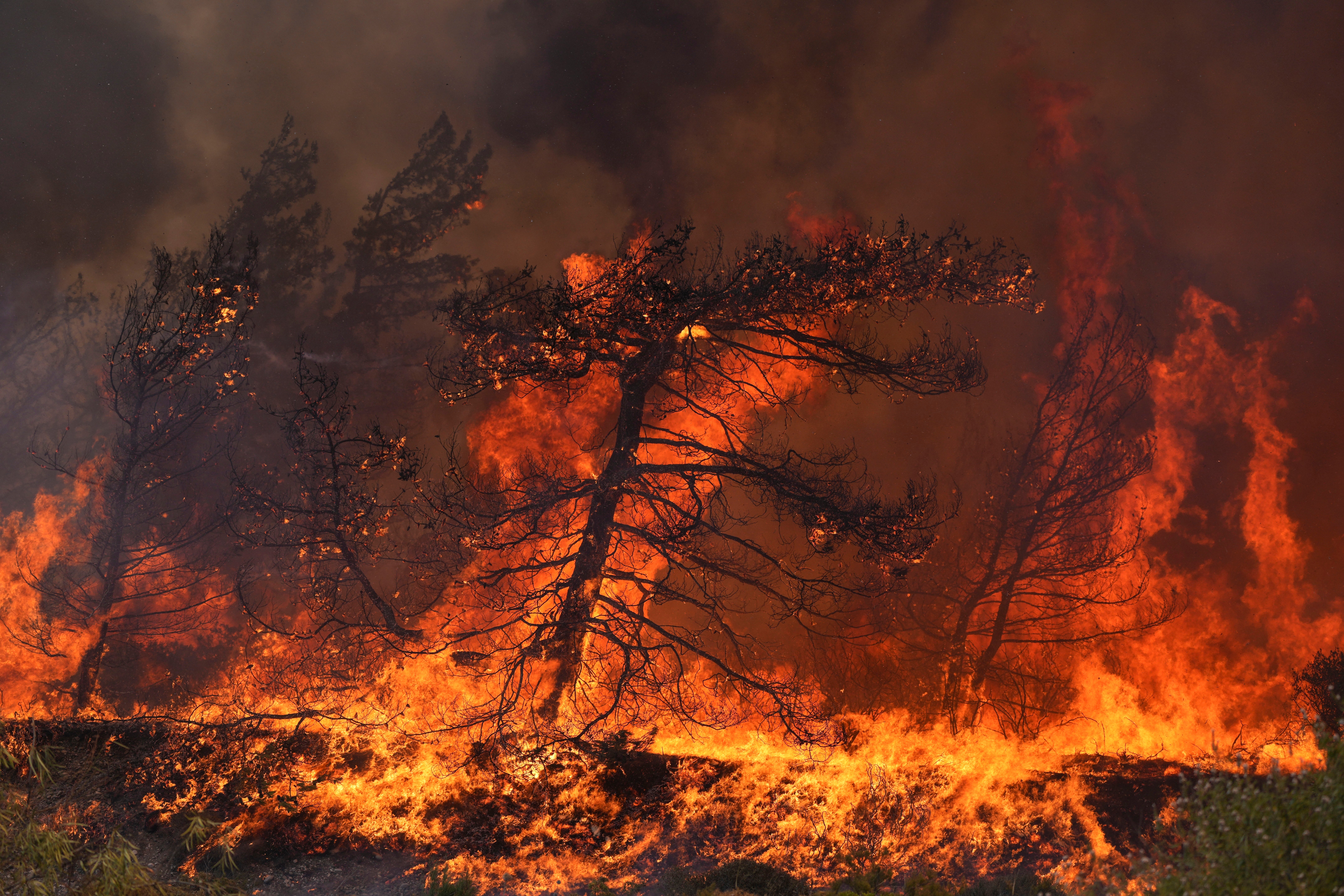 Flames burn a forest in Vati village, on the Aegean Sea island of Rhodes, southeastern Greece on July 25, 2023