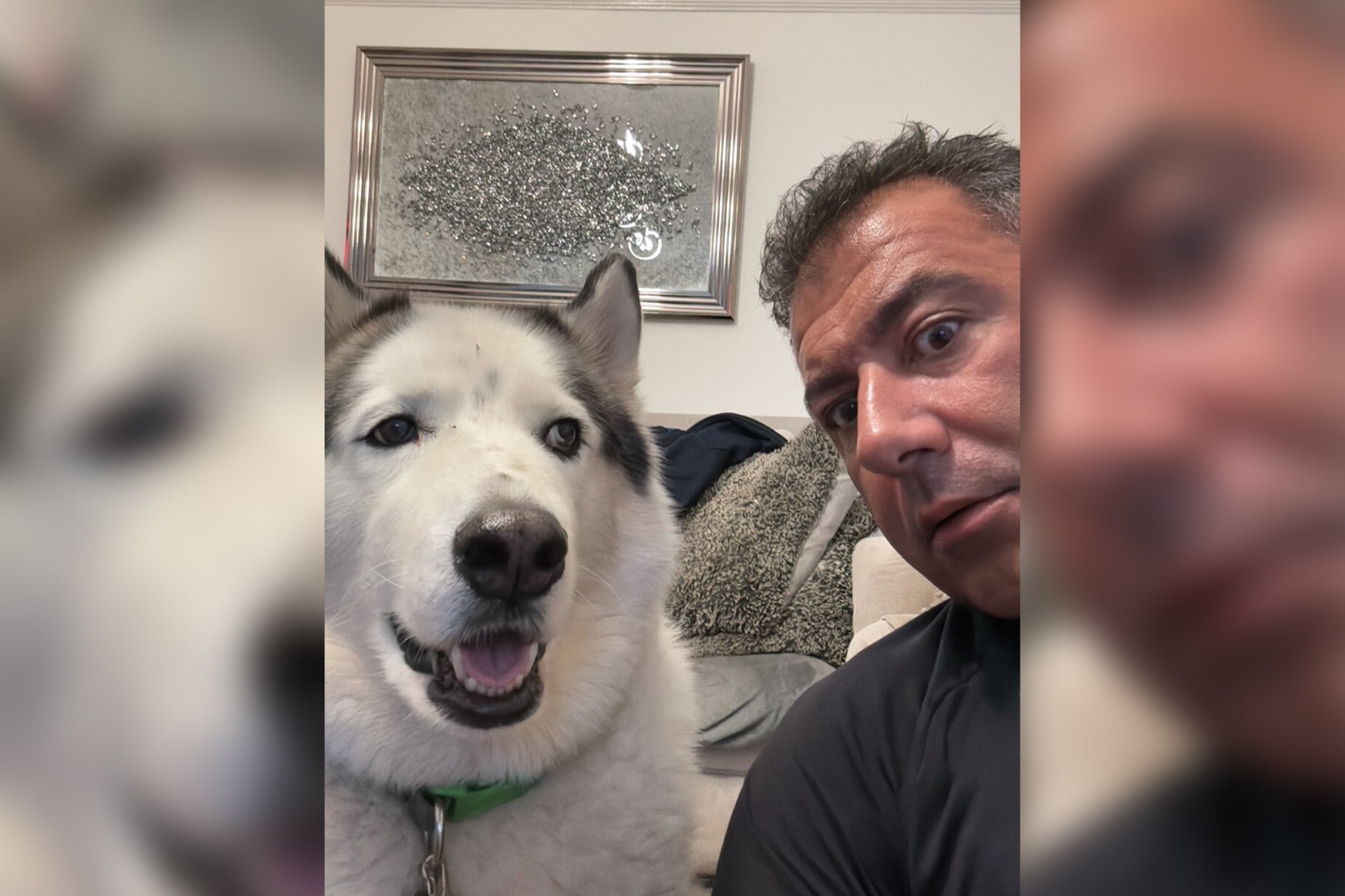 <p>Alan the rescue husky and his owner Simon Warner </p>