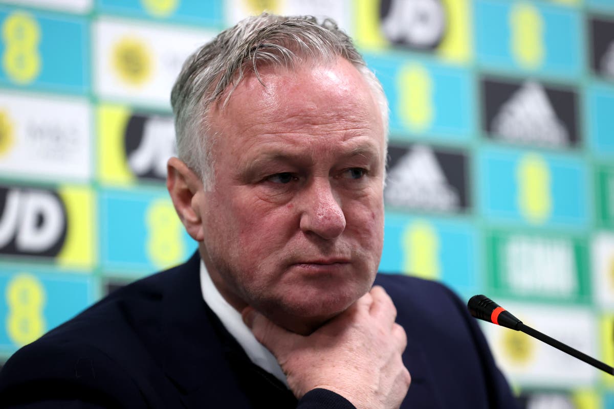 Michael O’Neill says young Northern Ireland squad ‘has a lot of potential’