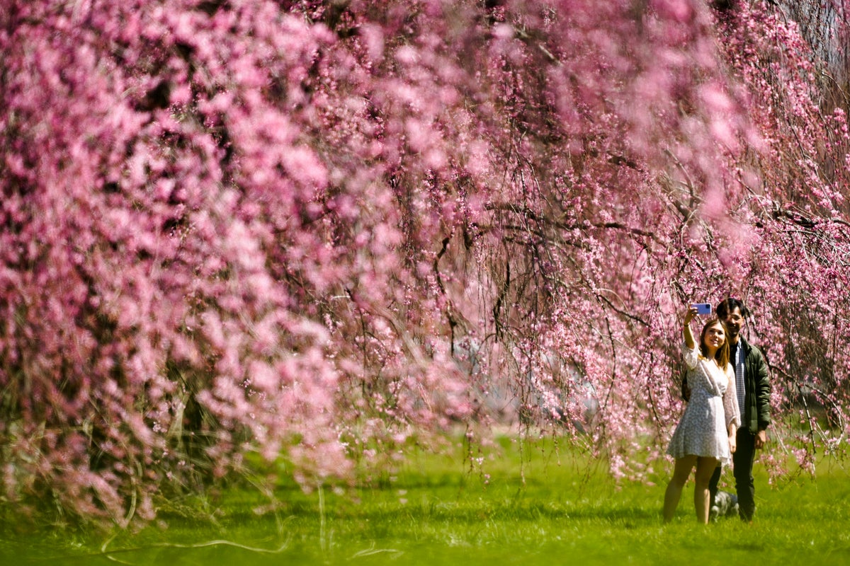 The US may catch a spring break on weather. Forecasters see minimal ...