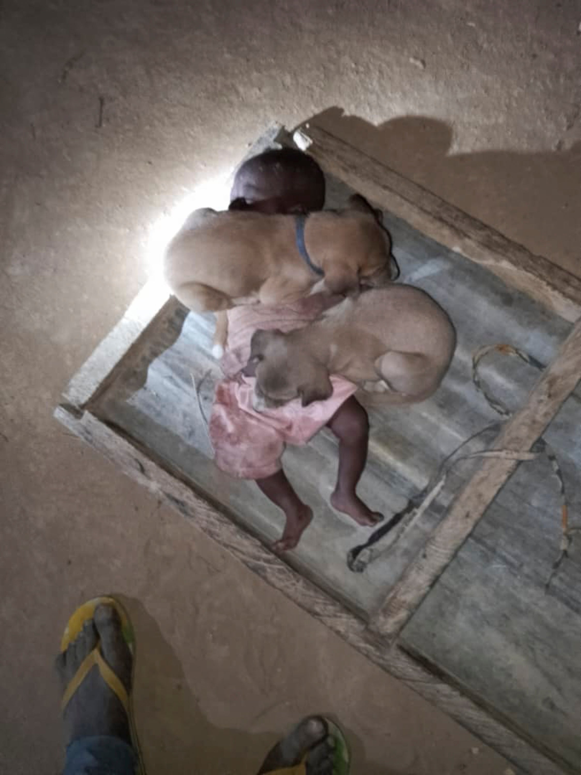 Burkina Faso Village Massacre